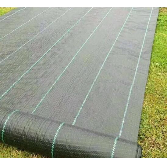 Garden Weed Control Fabric/Ground Cover/Agrotextile