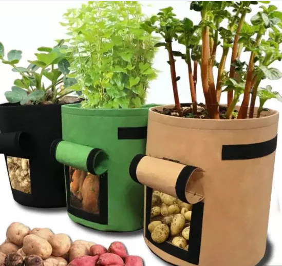 Wholesale Garden Potato Vegetables Plants Grow Bags with Plastic Material