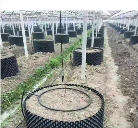Trees Root Control Container for Agricutural Garden