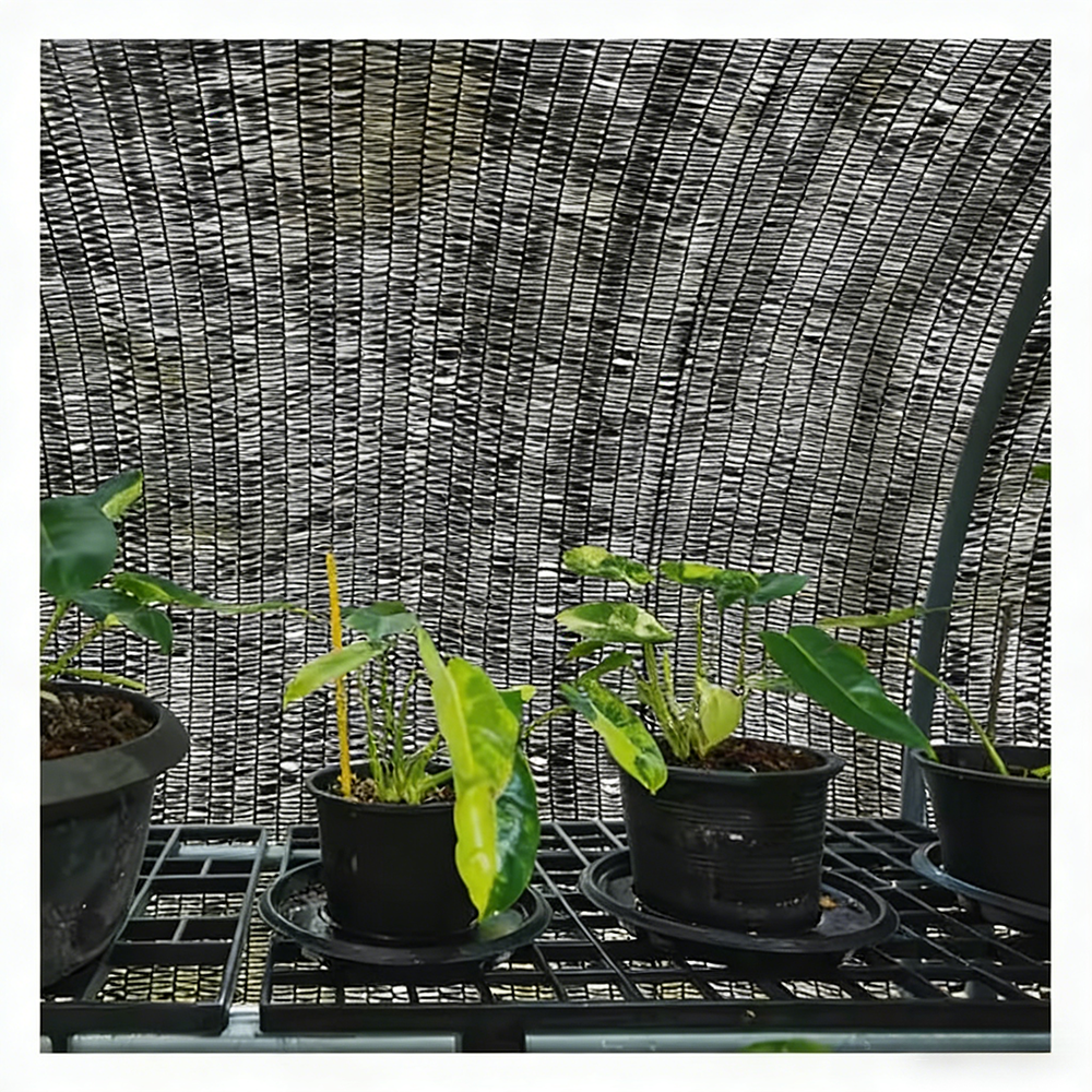 Wholesale Heavy-Duty Shade Canopy Net 95% UV Block for Greenhouse